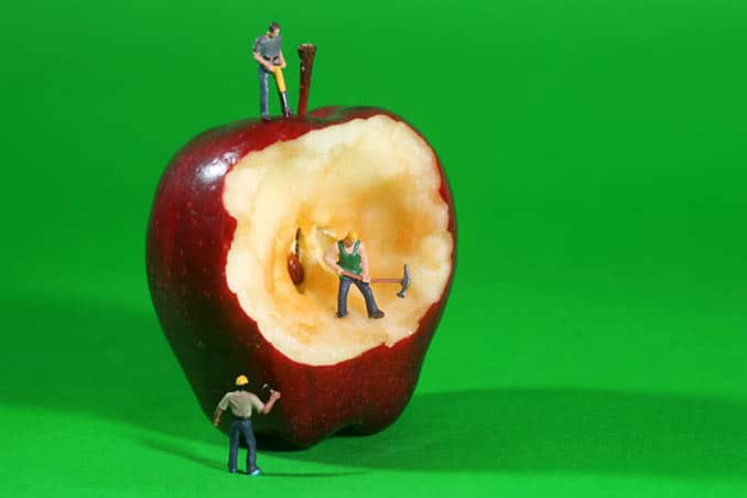 Crisp Apple 'Mega Mondays' Do you need a WordPress care plan 678x452 (1)
